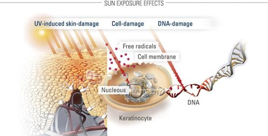 Do Uvb Rays Pass Through Glass Do Uvb Rays Pass Through Glass